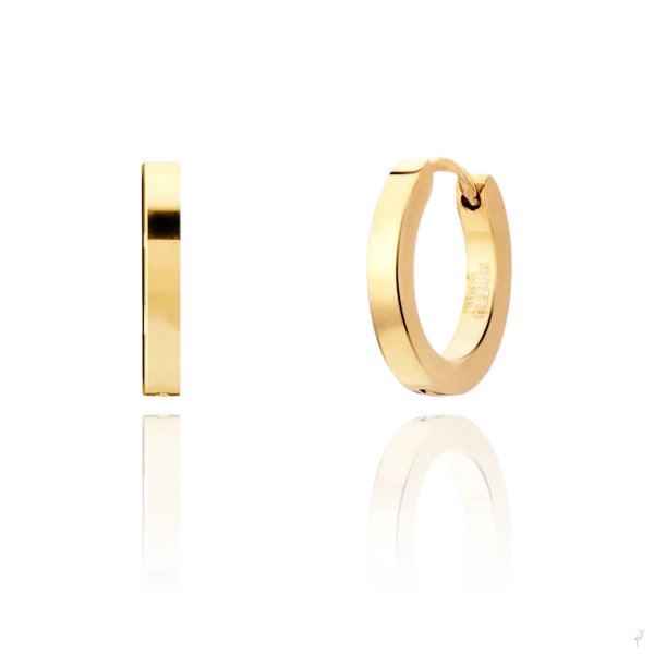 Hoop Earrings Hassu Golden 2
