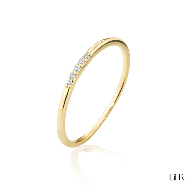ANILLO LINK 2