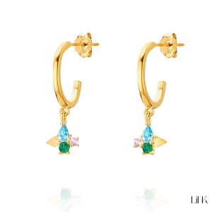 AROS EN PLATA LINK 2