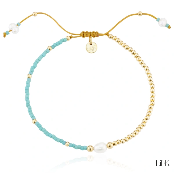 Pulseira Link 1