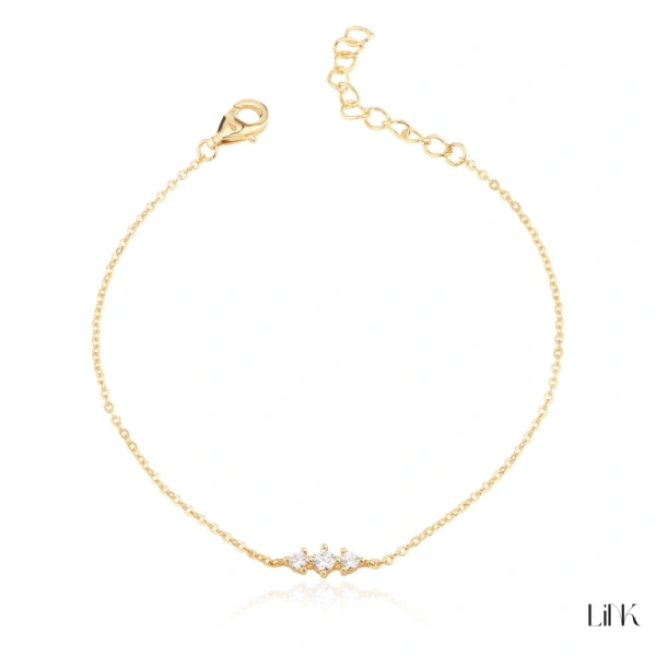 Pulseira Link 1