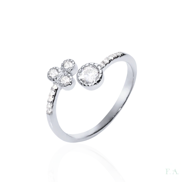 Ring FA with Zirconias 2