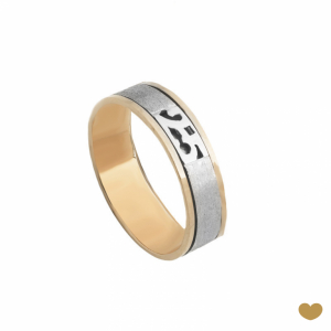 Aliança 25 Anos Passion Gold 9k 1