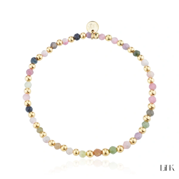 Pulseira Link 1