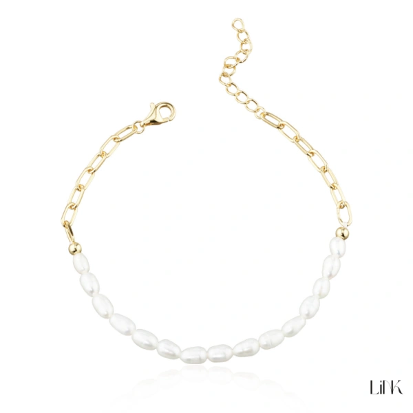 Pulseira Link 1