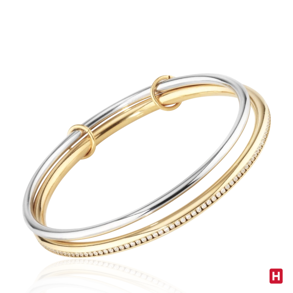 Bangle Hassu 2