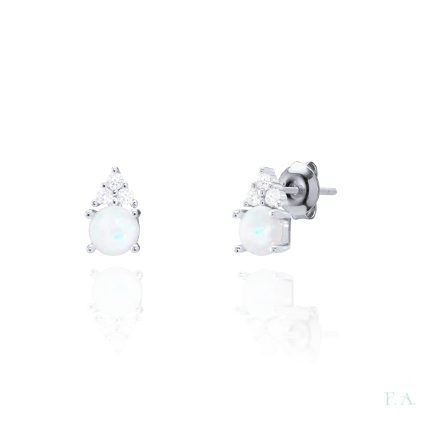 Earrings FA with Zirconias 2