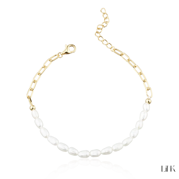 Pulseira Link 2