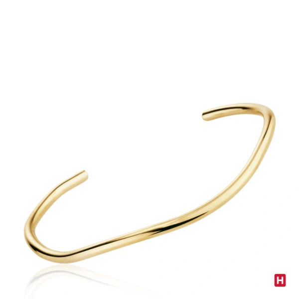 Bangle Hassu 1