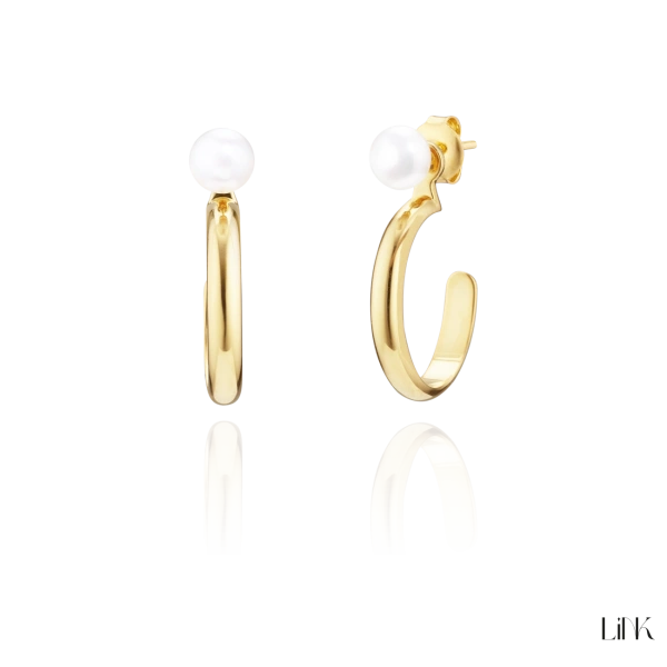 Earrings Link Golden 2