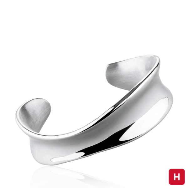 Bangle Hassu 2