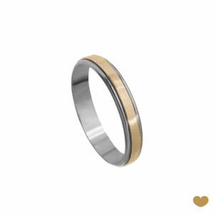 Aliança Passion Gold 9k - 4 mm 1