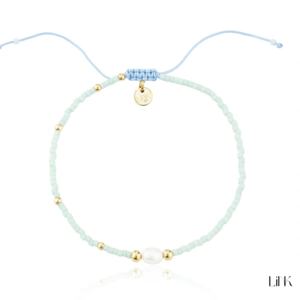 Pulseira Link 1