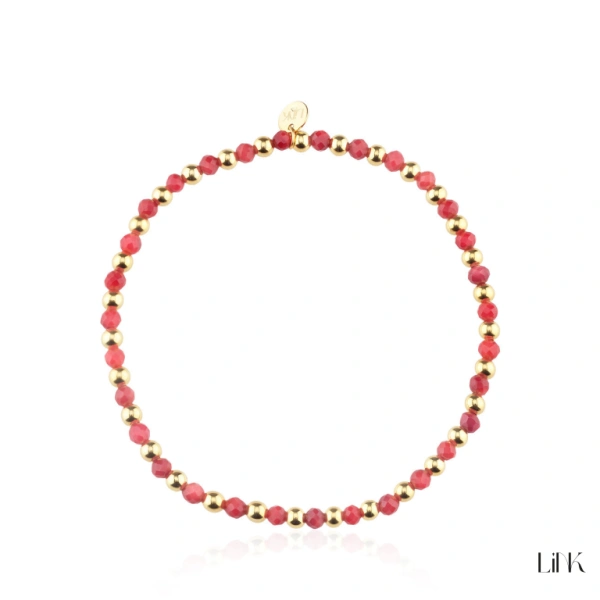 Pulseira Link 1
