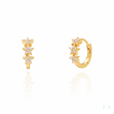 Hoops Earrings FA with Zirconias 1