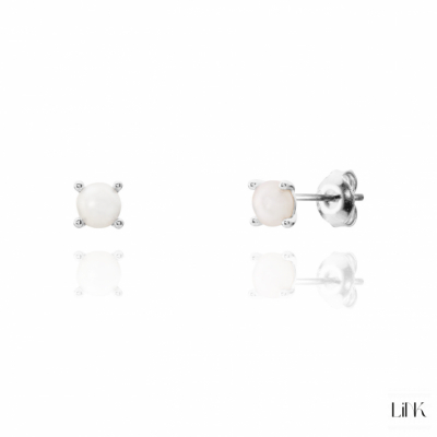 PENDIENTES LINK 1