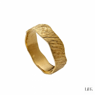 ANILLO LINK 1