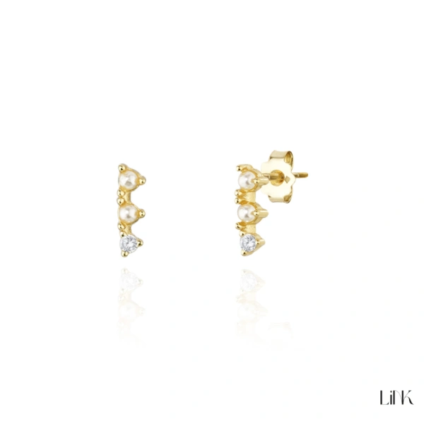 PENDIENTES LINK 1