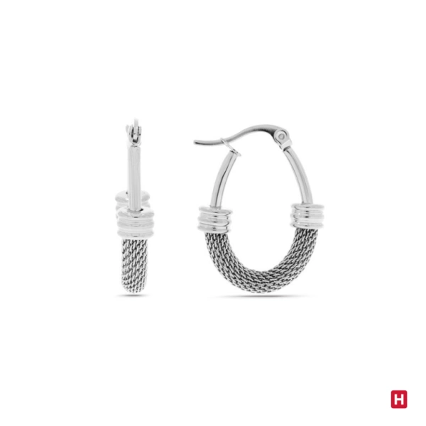 Hoops Earrings Hassu Net 1