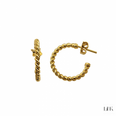 Hoops Earrings Link Trendy Style 1