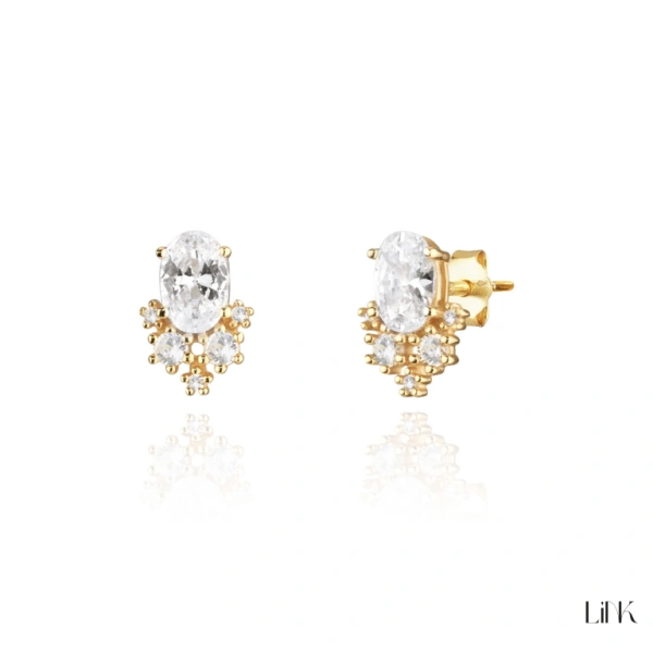 PENDIENTES LINK 1