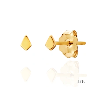 PENDIENTES LINK 1