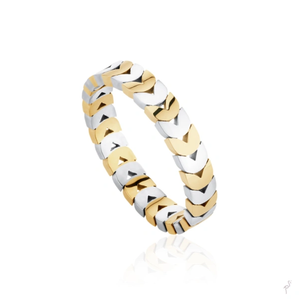 Ring Hassu 1