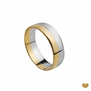 Aliança Passion Gold 9k - 6 mm 1