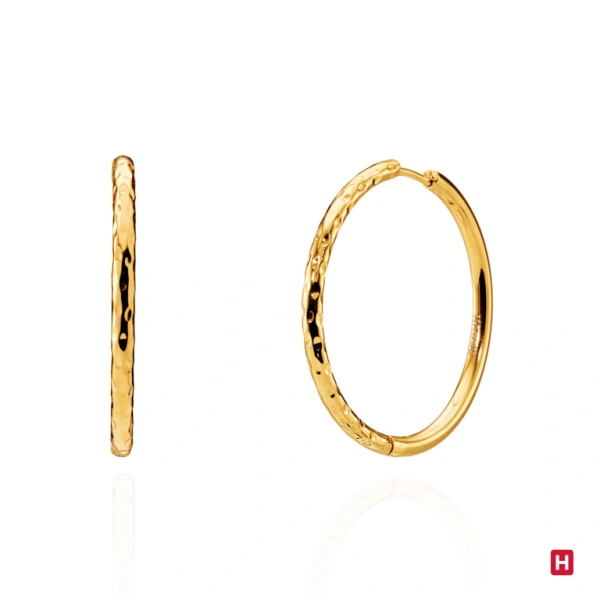PENDIENTES HASSU 1