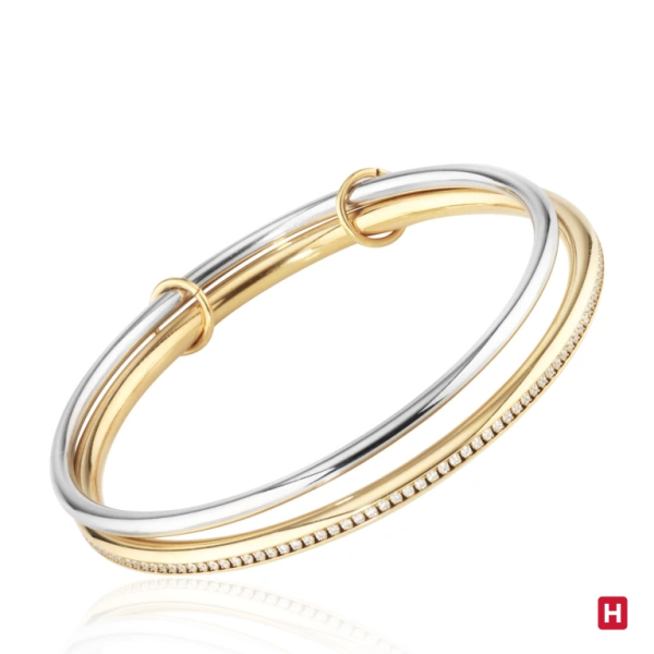 Bangle Hassu 1