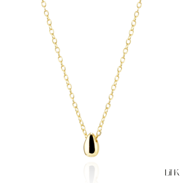 Colar Link 1