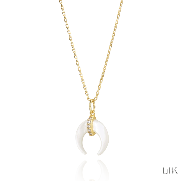 Colar Link 1