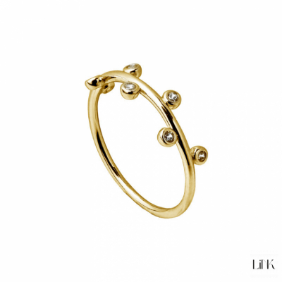 ANILLO LINK 1