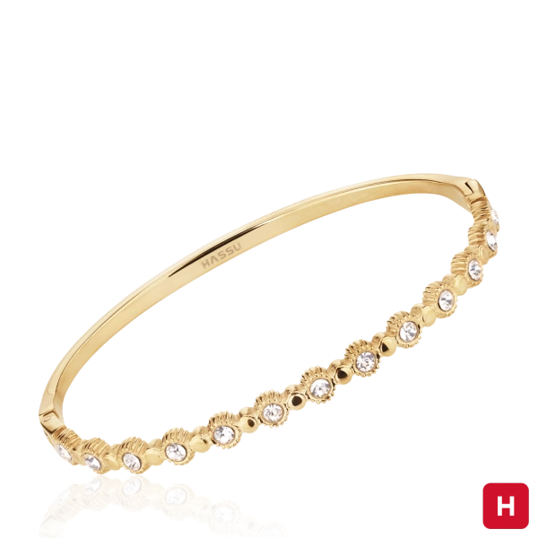Bangle Hassu 2