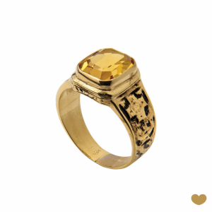 Anel de Curso Passion Gold 19.2k 1
