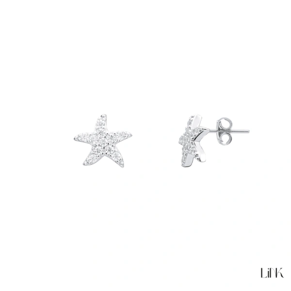 Brincos Link com Zircónias Estrela 1