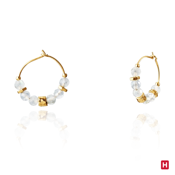 AROS HASSU 2