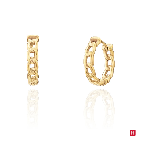 Hoops Earrings Hassu Golden 2