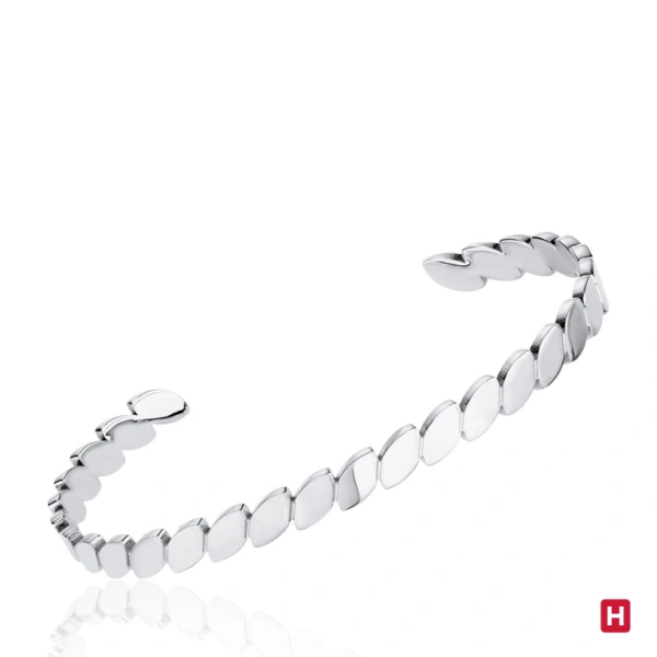Bangle Hassu 1