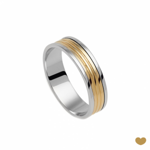 Aliança Passion Gold 9k - 5 mm 1