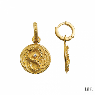 Hoops Earrings Link World Energy - Dragon 2