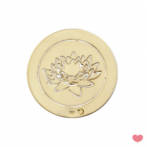 Interior para Medalha Passion 8