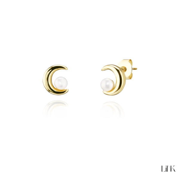 PENDIENTES LINK 2