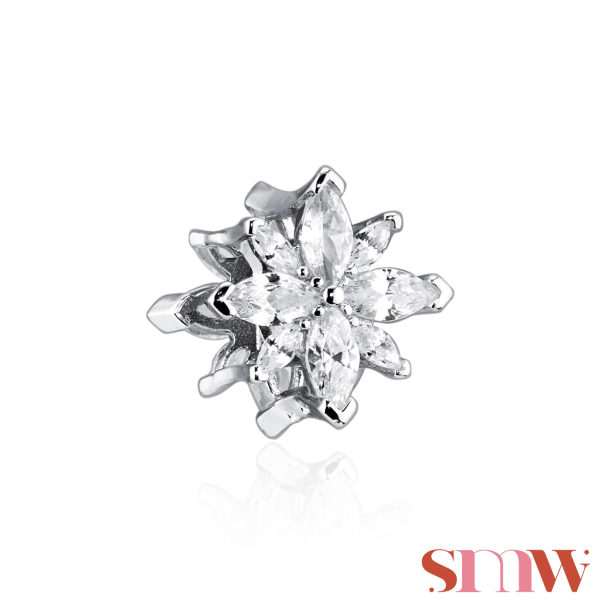 Conta SMW Estrela 2