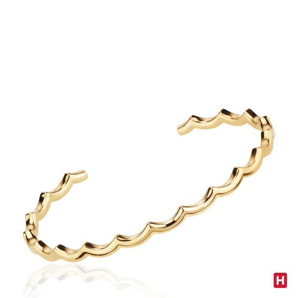 Bangle Hassu 2