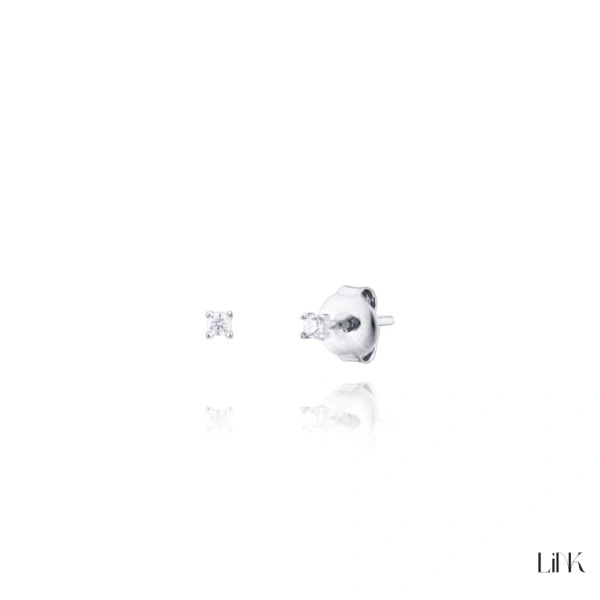 Brincos Link 1
