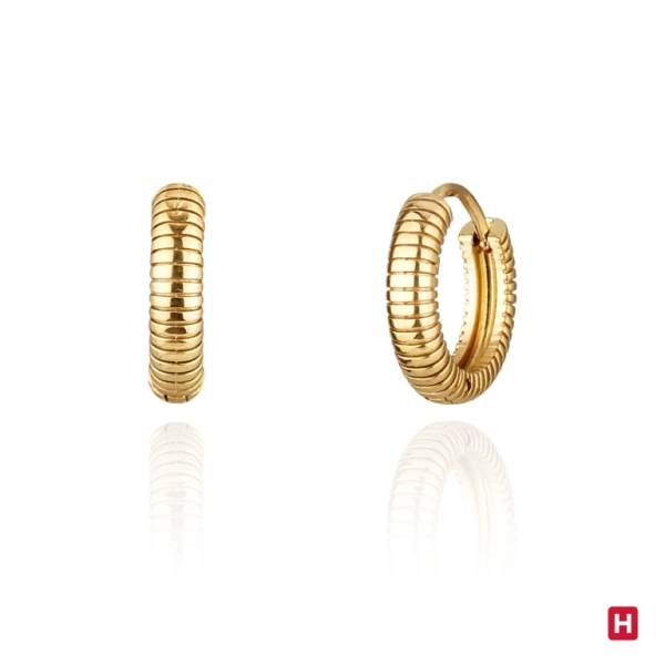 PENDIENTES HASSU 1