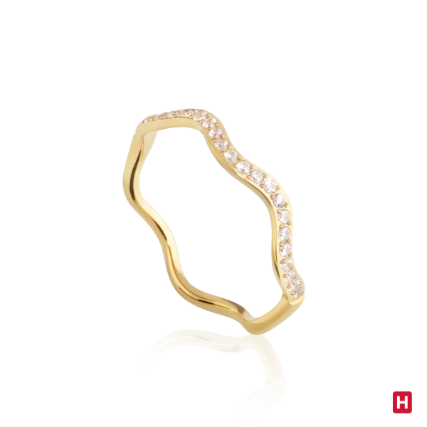 Ring Hassu 2