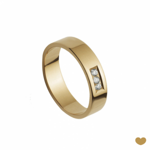 Aliança Passion Gold 9k - 5.3 mm 1