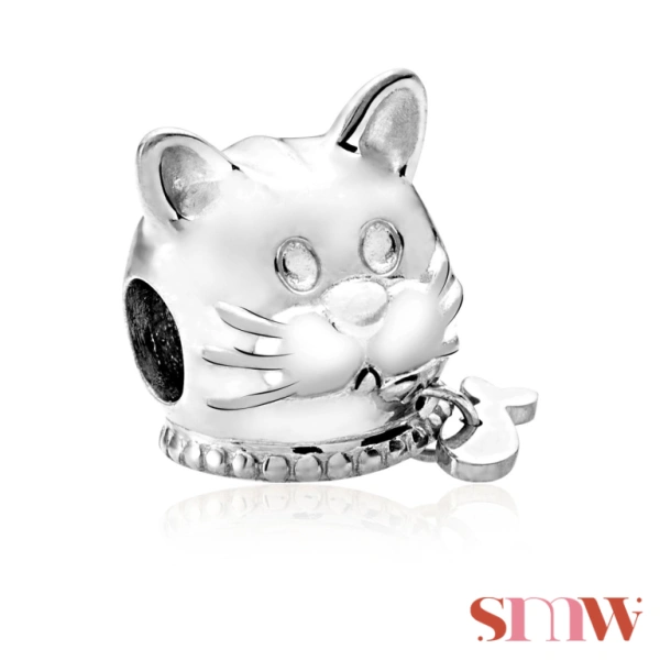 Conta SMW Gato 1